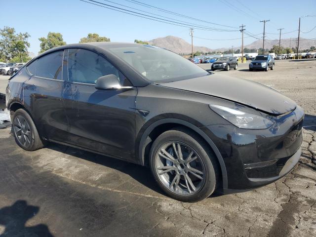 2024 TESLA MODEL Y 7SAYGDED0RF209659