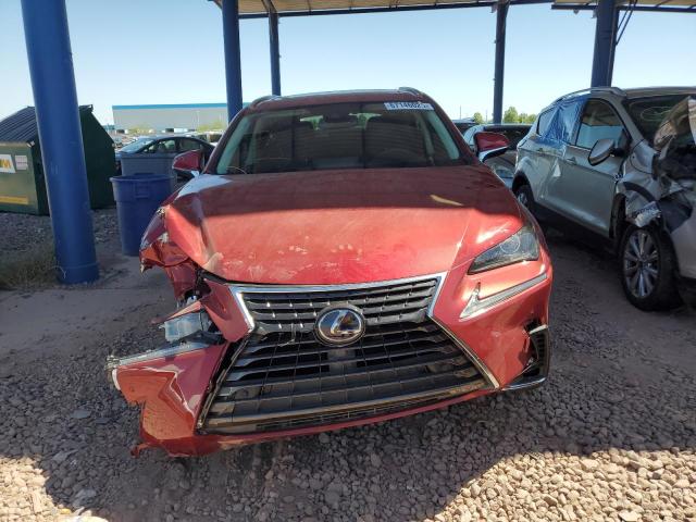 2020 LEXUS NX 300H JTJGJRDZ8L5005203