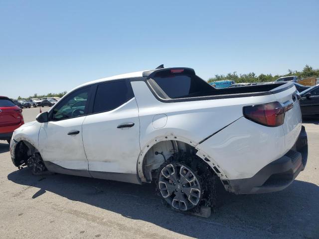2024 HYUNDAI SANTA CRUZ - 5NTJB4DE6RH109690