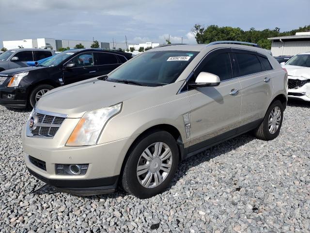 Vin: 3gyfnaey3as548191, lot: 63092165, cadillac srx luxury collection 2010 img_1