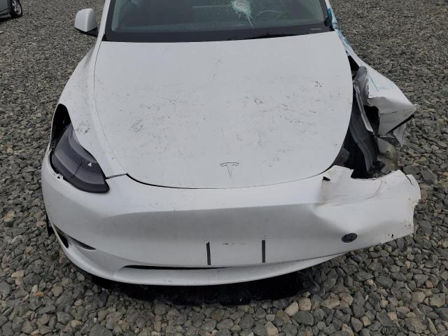 2023 TESLA MODEL Y 7SAYGDEE3PA112345