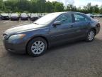 Top Destinations for Shipping Cars from the USA