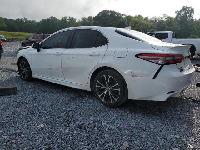 2019 TOYOTA CAMRY L 4T1B11HK8KU209558
