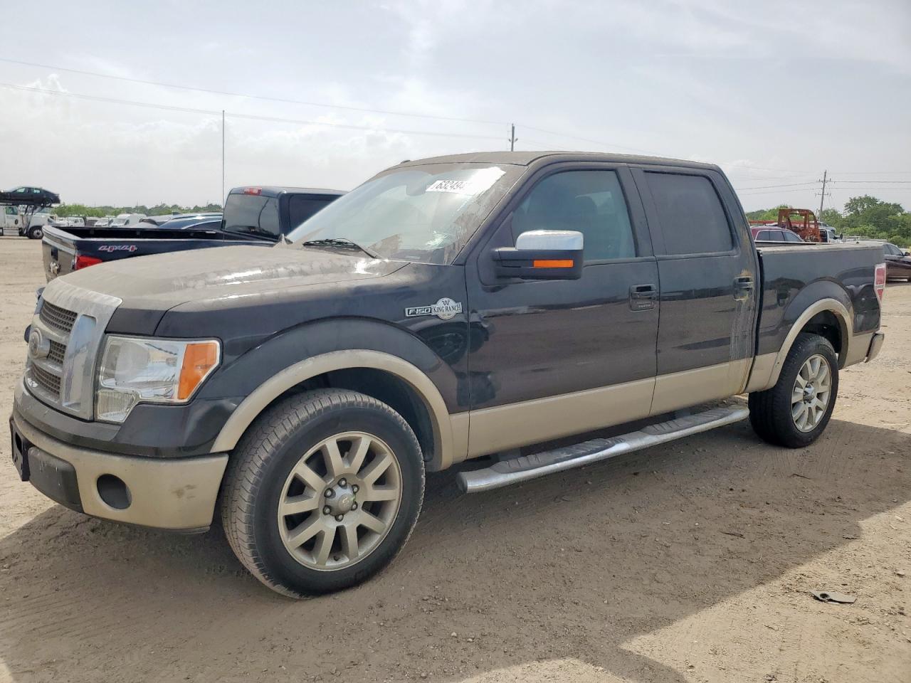 Lot #3308502071 2010 FORD F-150