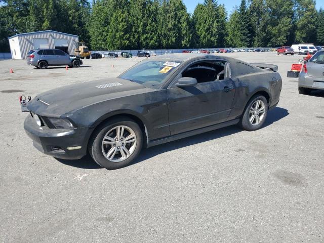 Vin: 1zvbp8am5b5110386, lot: 64086075, ford all models 2011 img_1