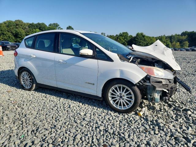 2016 FORD C-MAX SE 1FADP5AU4GL115372