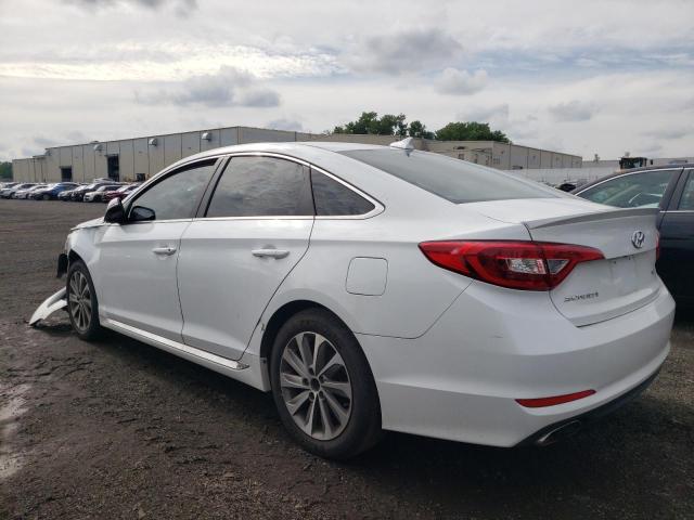 2015 HYUNDAI SONATA SPO 5NPE34AFXFH050309