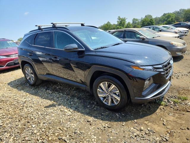 2022 HYUNDAI TUCSON BLU KM8JBCA13NU030516