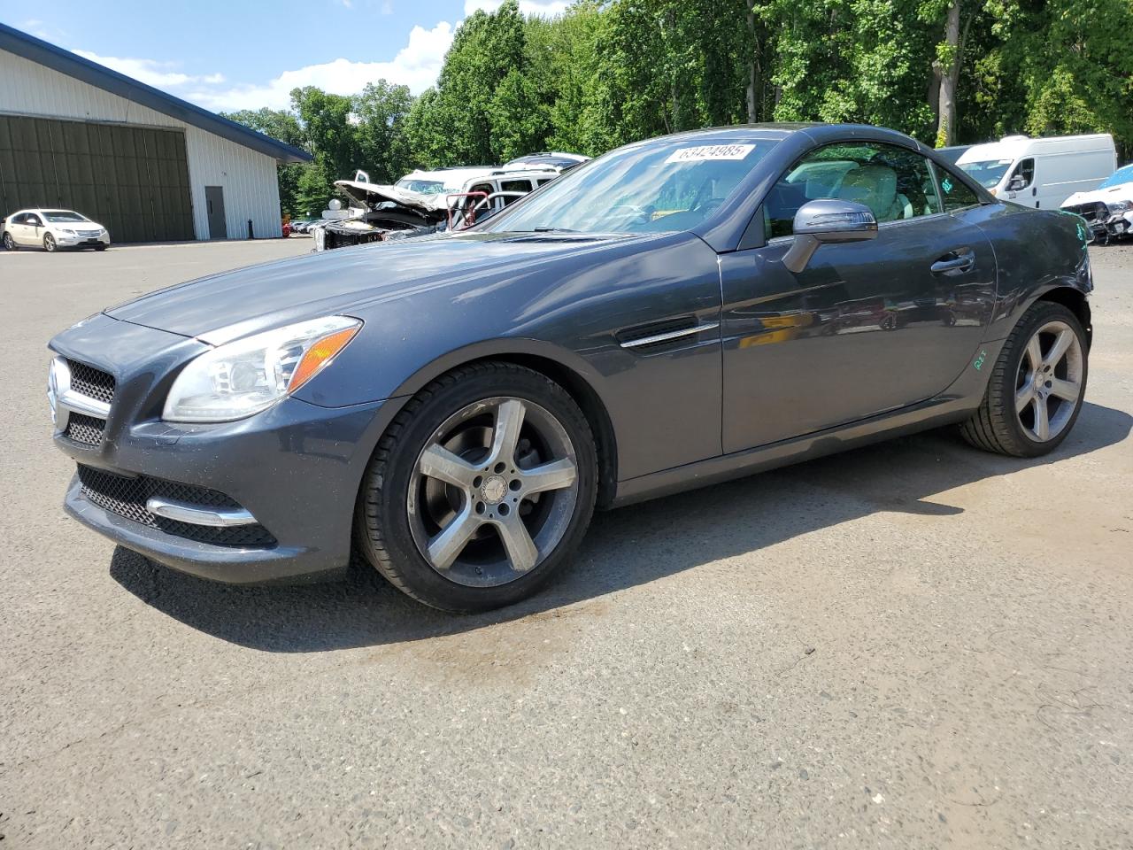 MERCEDES-BENZ SLK-CLASS 250