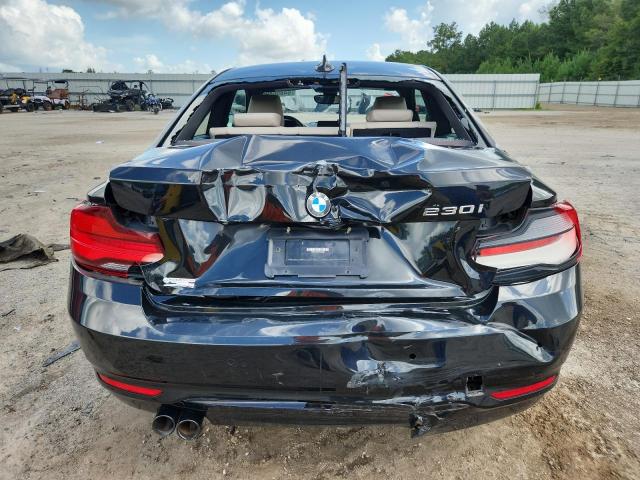 2021 BMW 230I WBA2J1C07M7J35199