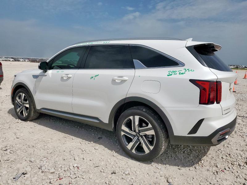 2023 KIA SORENTO EX - KNDRHDLG3P5205616