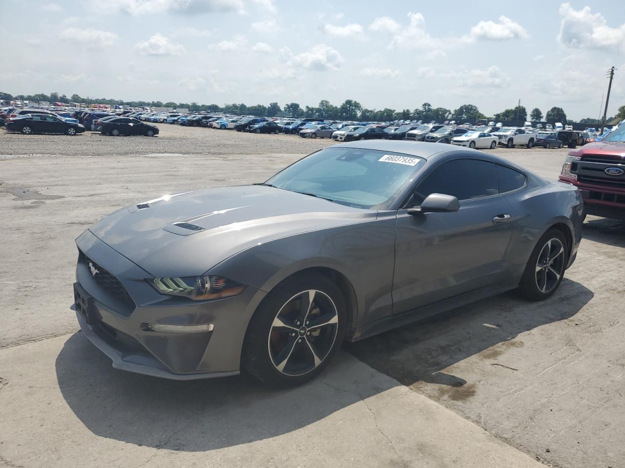 FORD MUSTANG