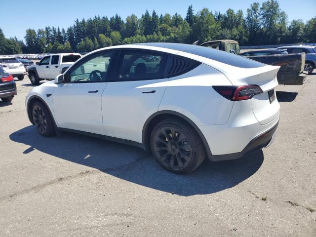 2022 TESLA MODEL Y 7SAYGDEE8NF518864