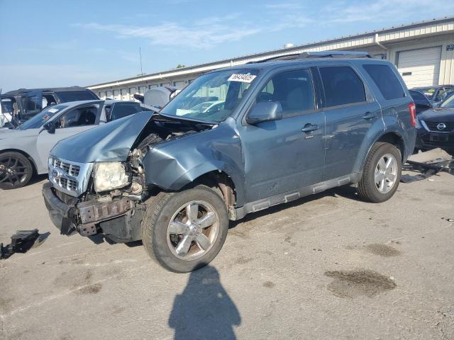 Global Auto Auctions: 2010 FORD ESCAPE LIMITED