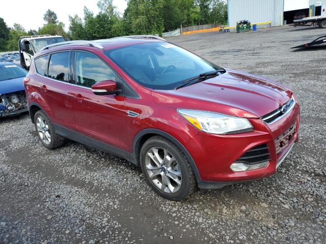 2014 FORD ESCAPE TIT - 1FMCU9J90EUE41559