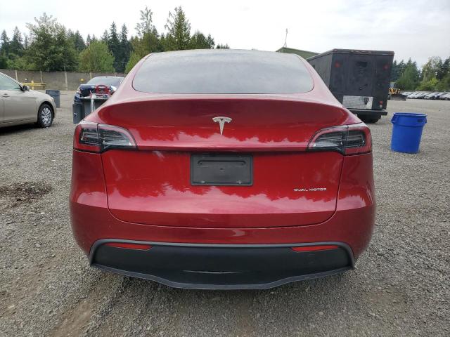 2025 TESLA MODEL Y 7SAYGDEE2SF281526
