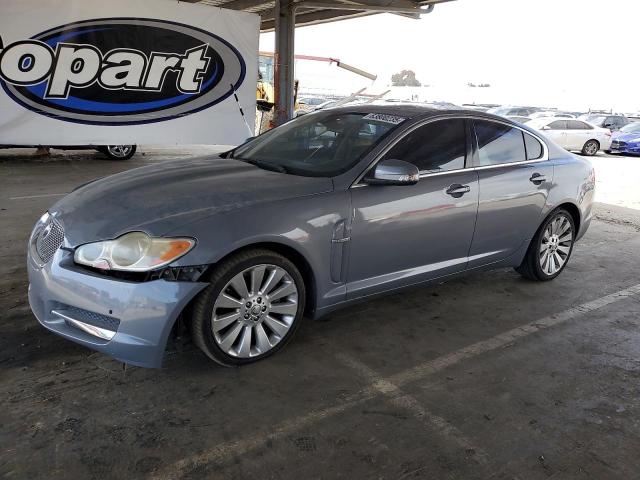 JAGUAR XF LUXURY