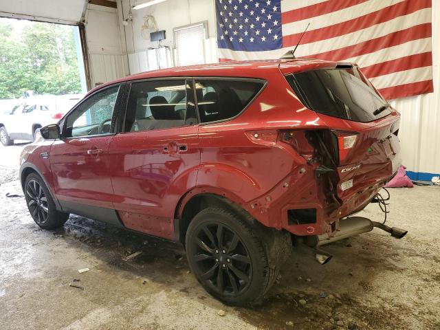 2019 FORD ESCAPE SE - 1FMCU9GD7KUB17855