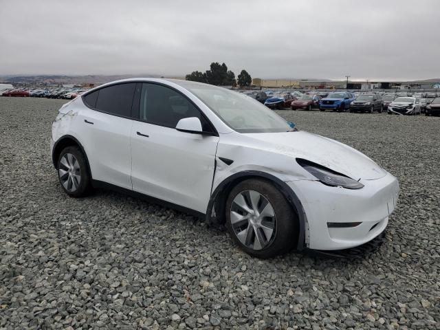 2023 TESLA MODEL Y 7SAYGDEE3PA112345