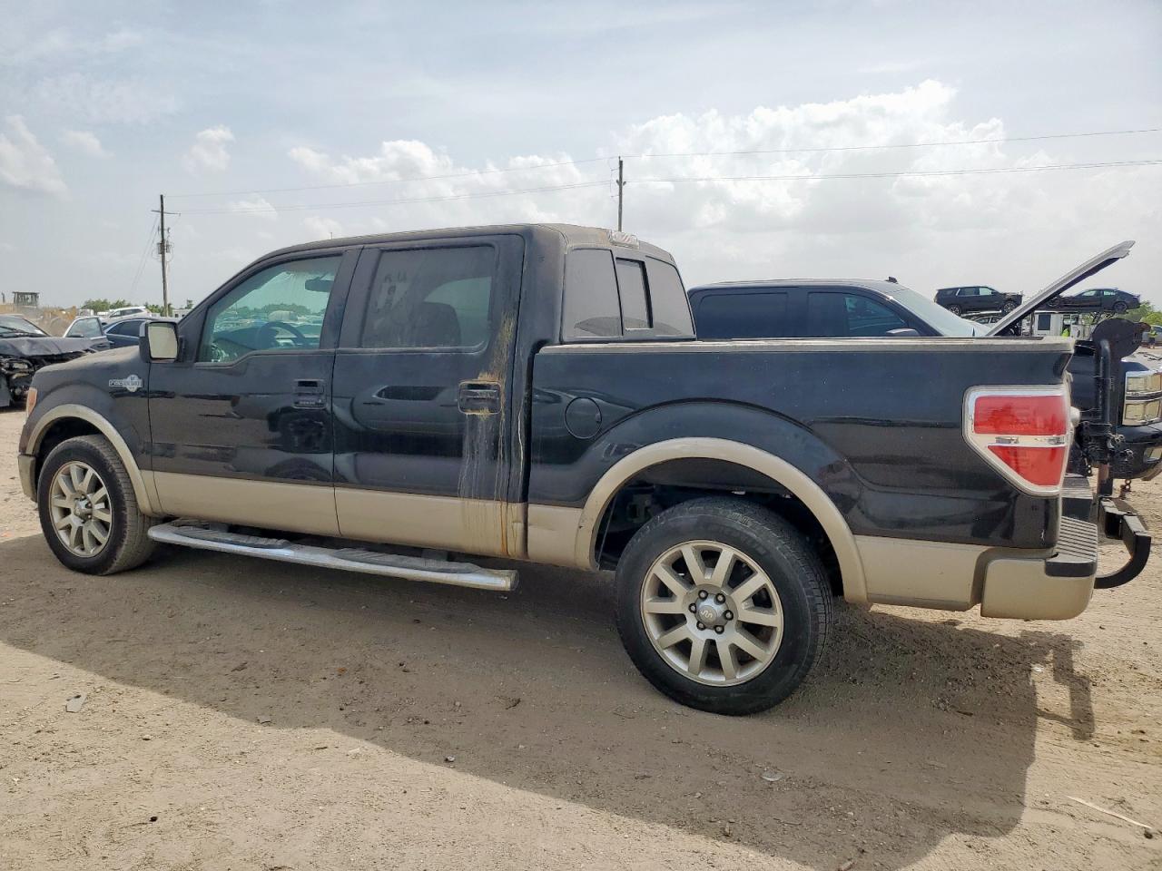 Lot #3308502071 2010 FORD F-150