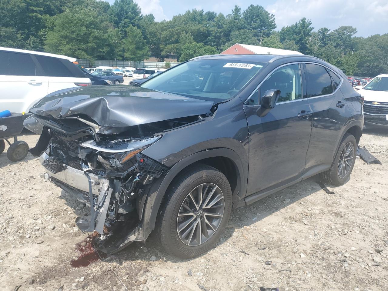 LEXUS NX 350 PREMIUM