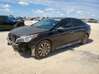 2017 HYUNDAI SONATA SPO - 5NPE34AF7HH464635