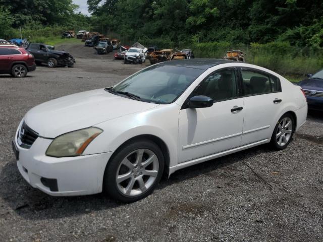 NISSAN MAXIMA