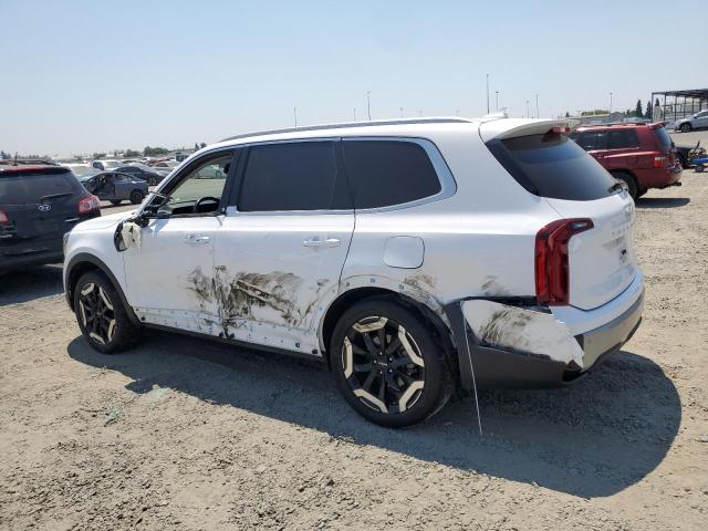 2023 KIA TELLURIDE 5XYP6DGC1PG331341