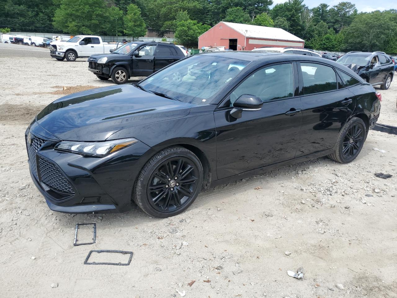 TOYOTA AVALON NIGHT SHADE