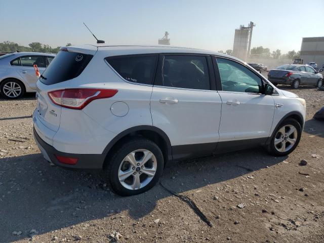 2014 FORD ESCAPE SE - 1FMCU0GX5EUB45907