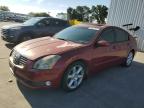 Top Destinations for Shipping Cars from the USA