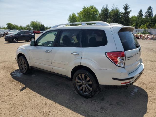 2013 SUBARU FORESTER 2 - JF2SHCDC2DH422853
