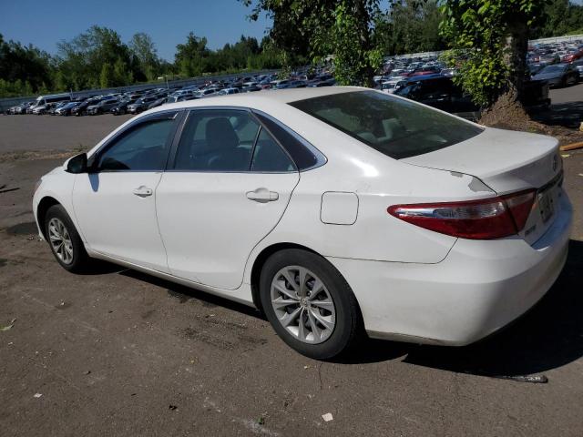 2016 TOYOTA CAMRY LE - 4T4BF1FKXGR516957