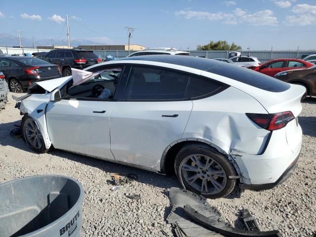 2023 TESLA MODEL Y 7SAYGDEE1PA188436
