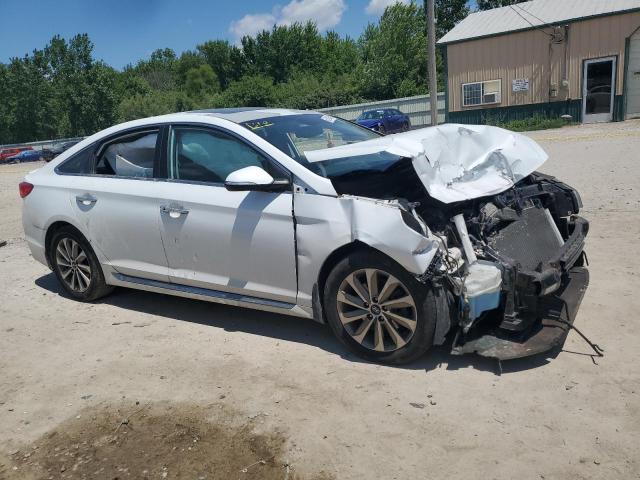 2017 HYUNDAI SONATA SPO - 5NPE34AF5HH502654