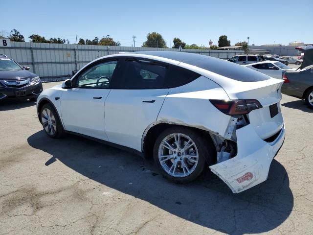 2023 TESLA MODEL Y 7SAYGDEE7PF816597