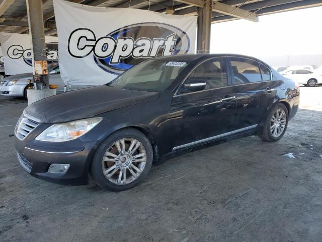 HYUNDAI GENESIS 4.