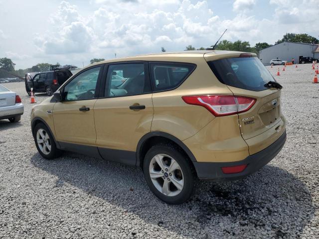 FORD ESCAPE S 2014 gold  gas 1FMCU0F74EUC07282 photo #3