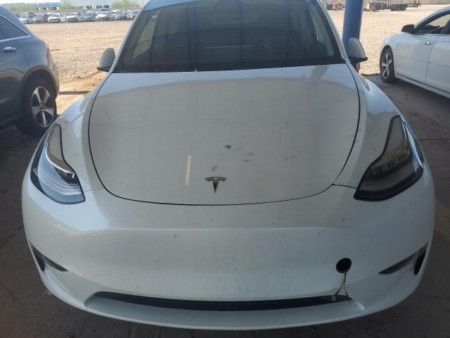 2023 TESLA MODEL Y 7SAYGDEE7PF599701