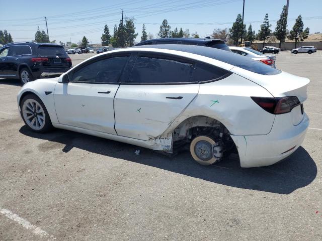 2023 TESLA MODEL 3 5YJ3E1EA4PF464345