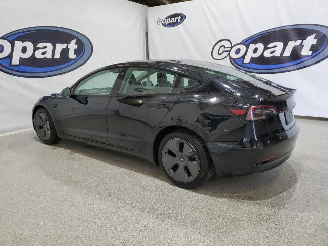 Vin: 5yj3e1ea4pf452809, lot: 63688885, tesla model 3 20232