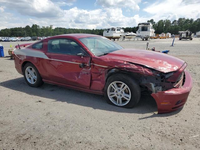 2014 FORD MUSTANG - 1ZVBP8AM9E5206803