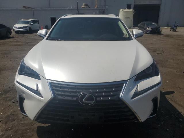 2019 LEXUS NX 300 BAS JTJYARBZ0K2133409