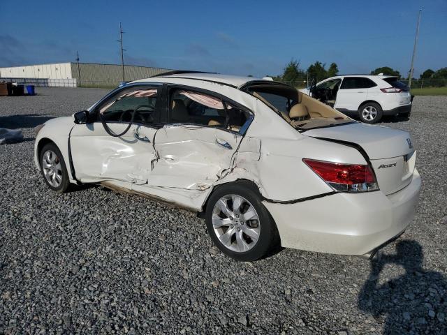 Vin: 5kbcp3f89ab013678, lot: 63451535, honda accord exl 20102