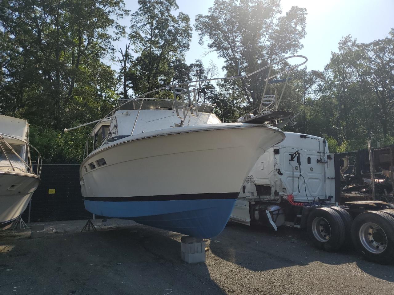 Lot #3227380358 1977 TROJAN BOAT