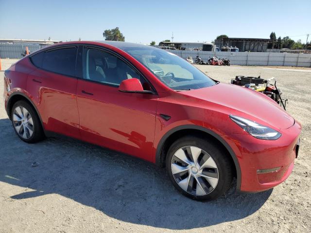 2023 TESLA MODEL Y 7SAYGDED8PF979976