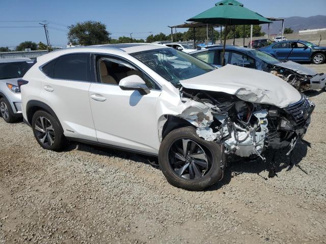 2020 LEXUS NX 300H JTJGJRDZ6L5009301