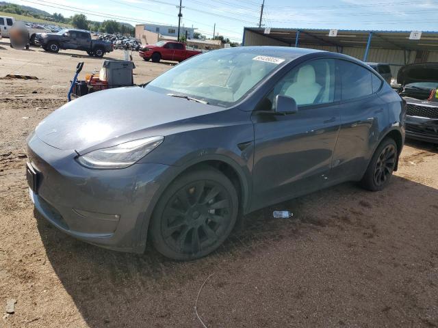 TESLA Y