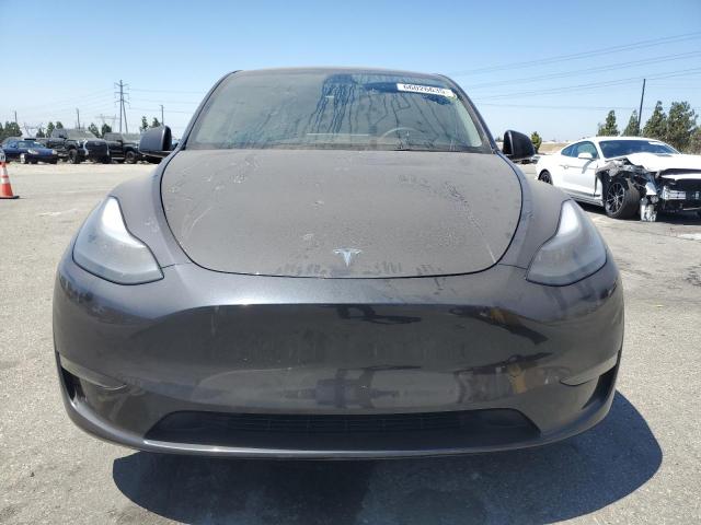 2025 TESLA MODEL Y 7SAYGDEDXSF216169
