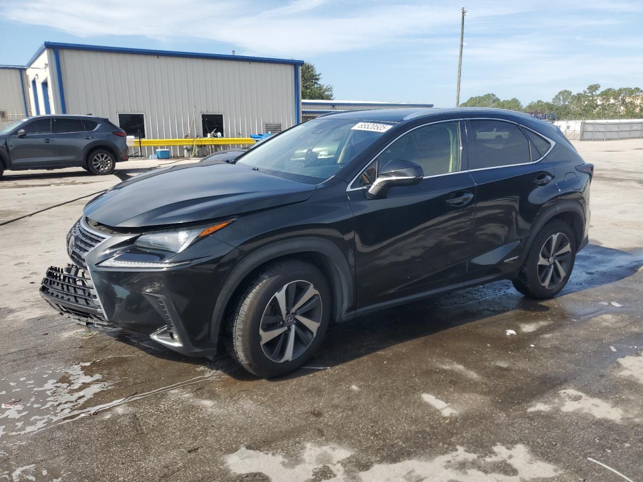 LEXUS NX 300H
